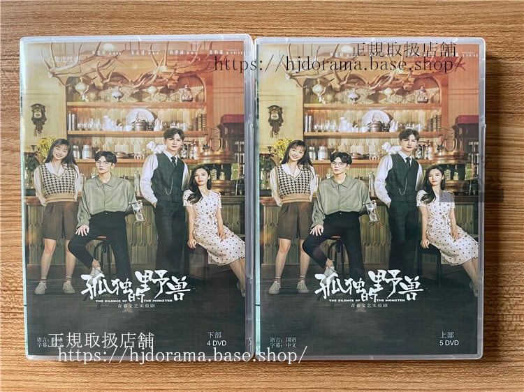 中国ドラマ孤独的野? DVD-BOX全話 中国盤