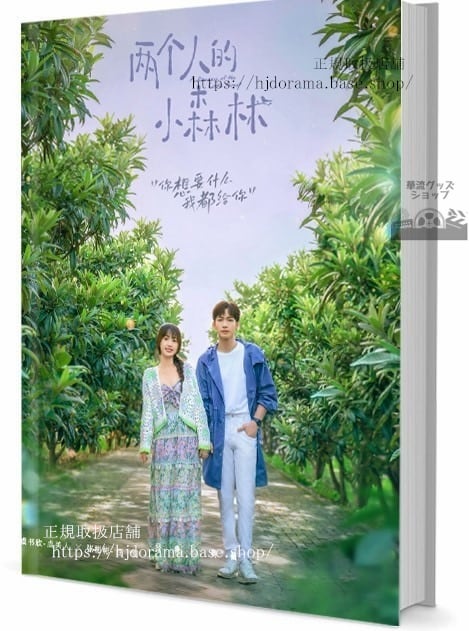 中国ドラマ 个人的小森林 写真集1冊 A4ポスター4枚 しおり4枚 LOMOカード10枚