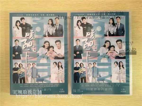 中国ドラマ「暖陽之下」DVD-BOX 高露 ガオルー 蒋毅 ジャンイー Modern City 全話 中国盤