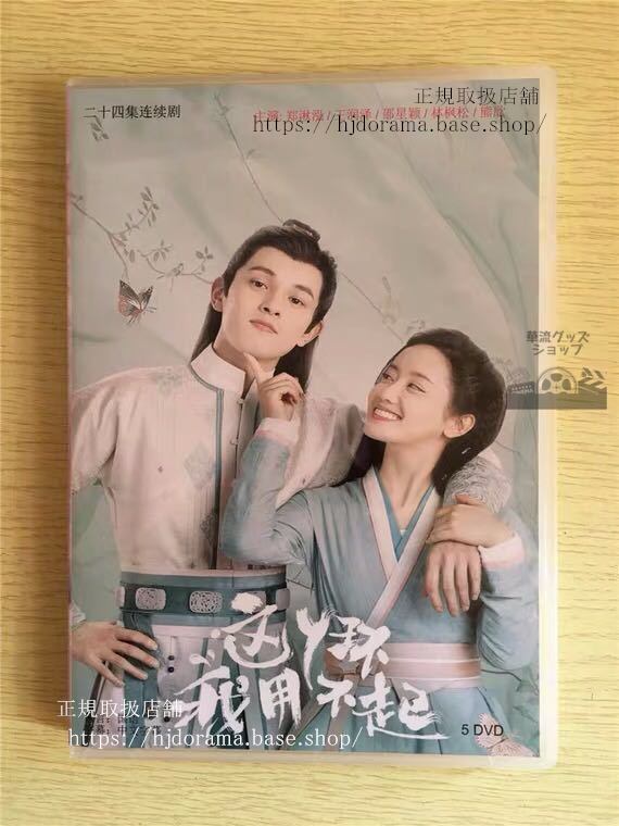 中国ドラマ 「這个環我用不起」DVD-BOX 鄭湫泓 ジェイドチェン 王潤澤 ワンルンツォー Maid Escort 全話 中国盤