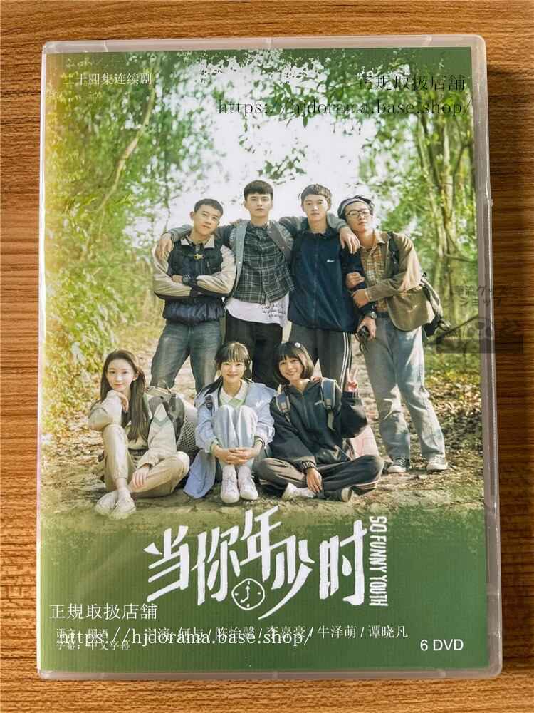 中国ドラマ 「当?年少?」2022 DVD-BOX 全話 海外盤