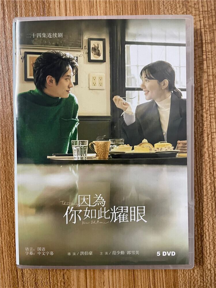 中国ドラマ 因為?如此耀眼 .2023 DVD-BOX 全話 中国盤