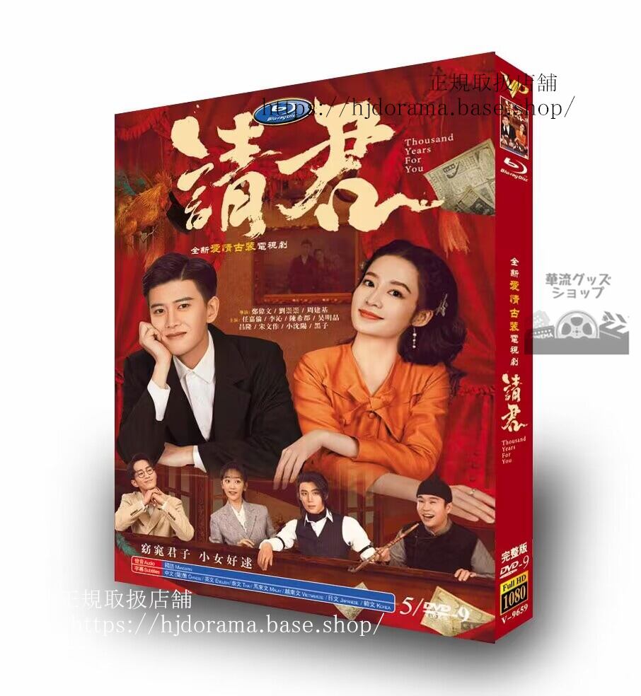 中国ドラマ日本語字幕付き 「請君/Thous ars For You」アレンレン リーチン主演2022 DVD-BOX 全話 海外盤