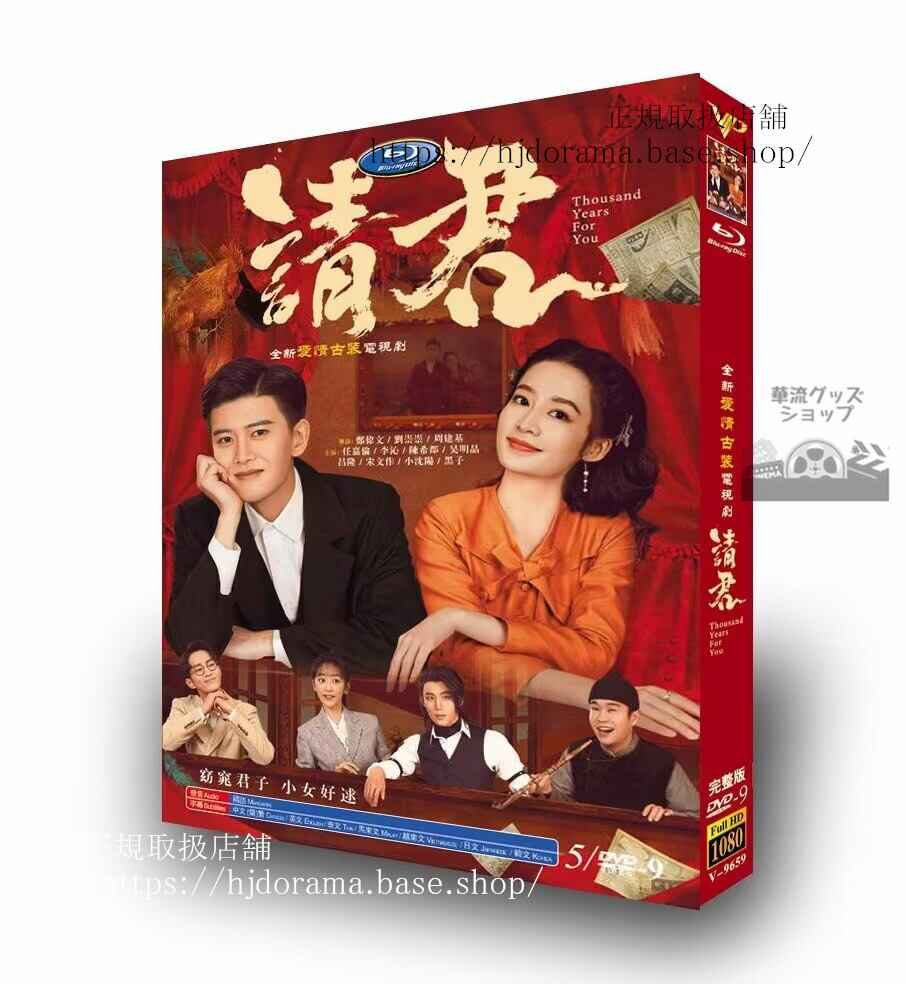 中国ドラマ日本語字幕付き 「請君/Thous ars For You」アレンレン リーチン主演2022 DVD-BOX 全話 海外盤