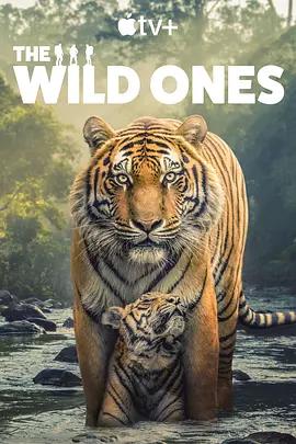 海外ドラマ「The Wild Ones 絶滅危惧種を追って」日本語字幕付きブルーレイBOX2 枚組-華流グッズストア