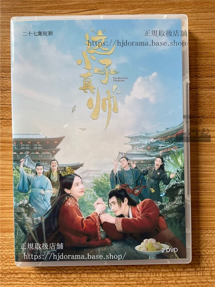中国ドラマ 這小子真帥2022 DVD 全話 海外盤