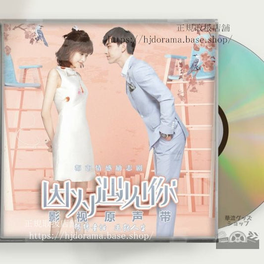 中国ドラマ「因為遇見祢Because of You」OST 1CD 9曲 李雲愷 張果果 鄧倫 孫怡 ダンルン