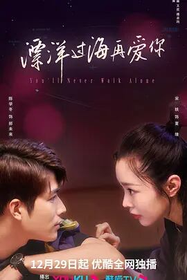 中国ドラマ「漂洋過海再愛?」DVD高画質海外盤正規品5D9