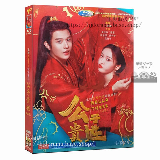 中国ドラマ公子?姓HI MEN DVDジャケット経済版高画質全話 海外盤正規品