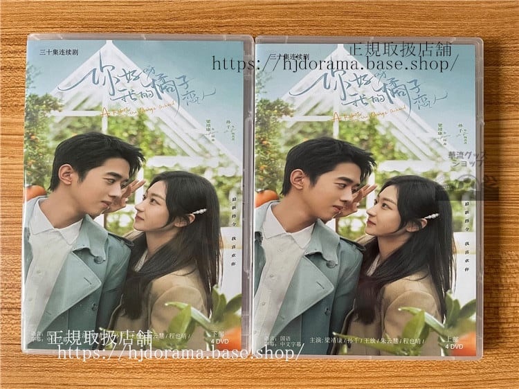中国ドラマ「袮好呀，我的橘子恋人」DVD-BOX 梁靖康 リャンジンカン 孫千 スンチエン A Robot in the Orange Orchard 全話 中国盤