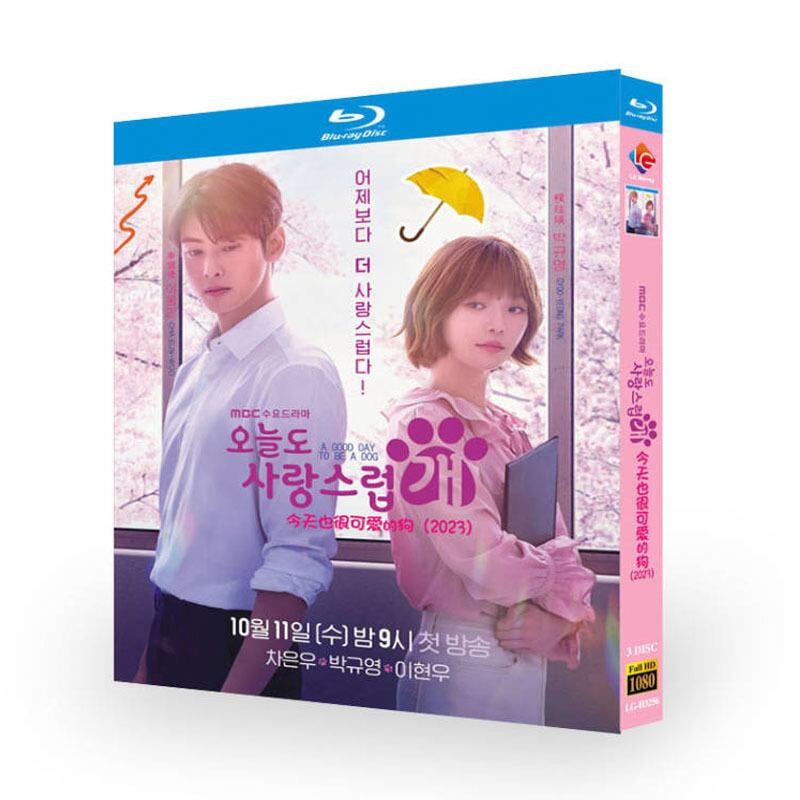 韓国ドラマ「ワンダフルデイズ」-ブルーレイ3枚組blu-ray-box高画質海外盤正規品-華流グッズストア