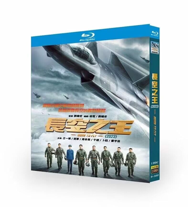中国映画長空之王（Born To Fly）王一博（ワン・イーボー）胡軍（フー・ジュン）ブルーレイ 1枚組[Blu-ray]高画質正規品-華流グッズストア