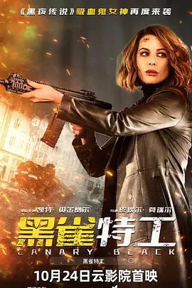 映画「Canary Black (2024)」ブルーレイBOX1 枚組-華流グッズストア