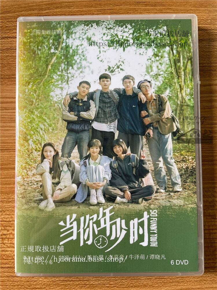 中国ドラマ 「当?年少?」2022 DVD-BOX 全話 海外盤