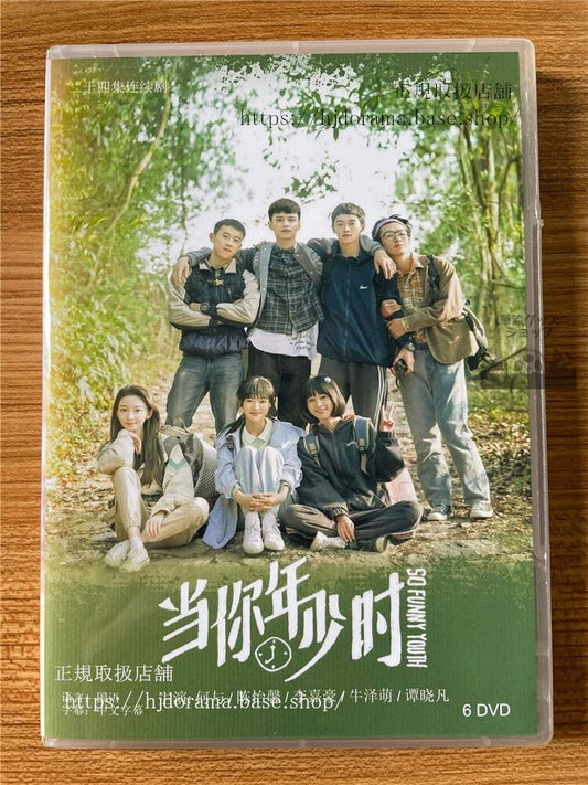 中国ドラマ 「当?年少?」2022 DVD-BOX 全話 海外盤