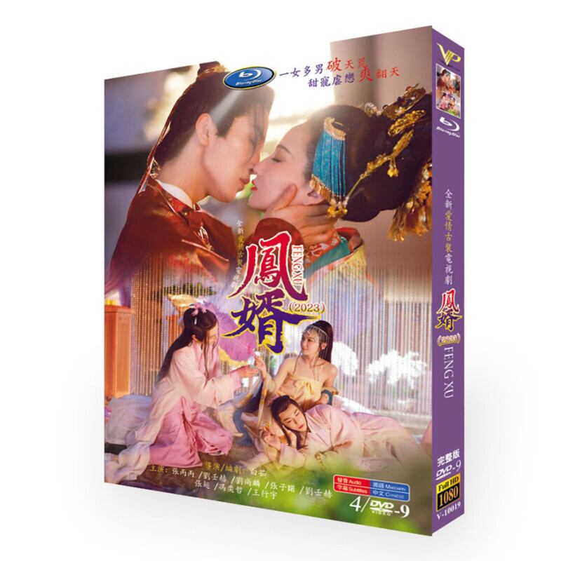 中国ドラマ 「?婿」Feng Jun's men DVD高画質正規品4D9