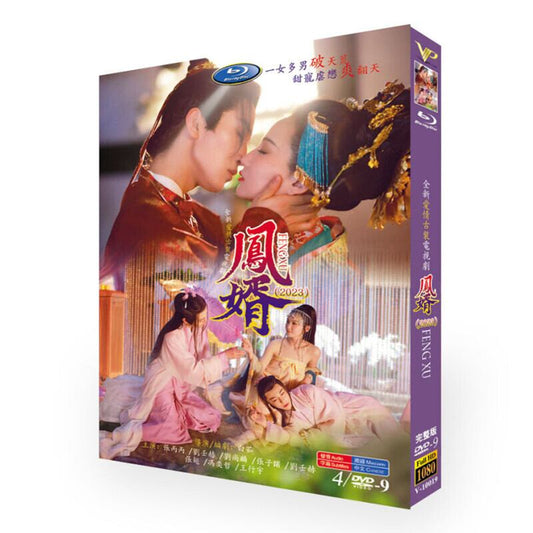 中国ドラマ 「?婿」Feng Jun's men DVD高画質正規品4D9