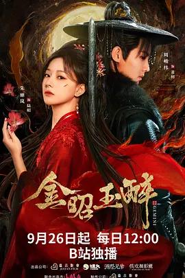 中国ドラマ「金昭玉醉」DVD-BOX5 枚組