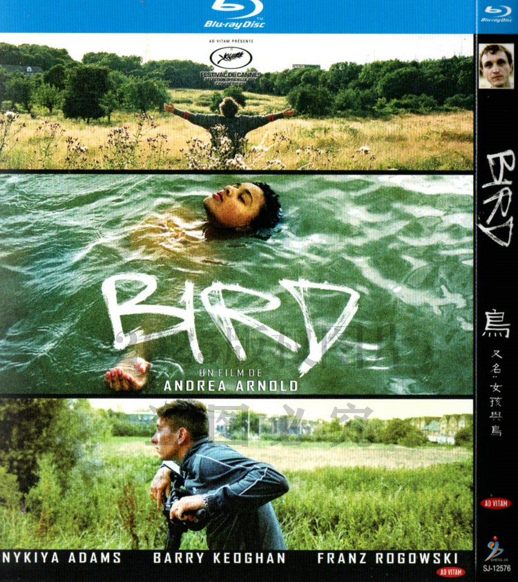 映画「Bird (2024)」ブルーレイBOX1枚組-華流グッズストア