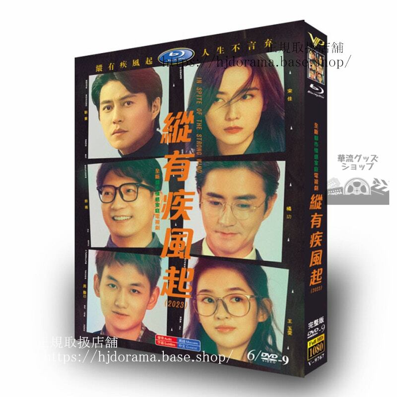中国ドラマ「?有疾?起」2023 DVDジャケット経済版高画質全話 海外盤