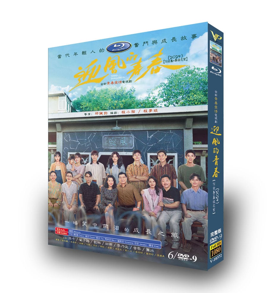 中国ドラマ日本語字幕「風の中の青春」DVD高画質海外盤正規品6D9