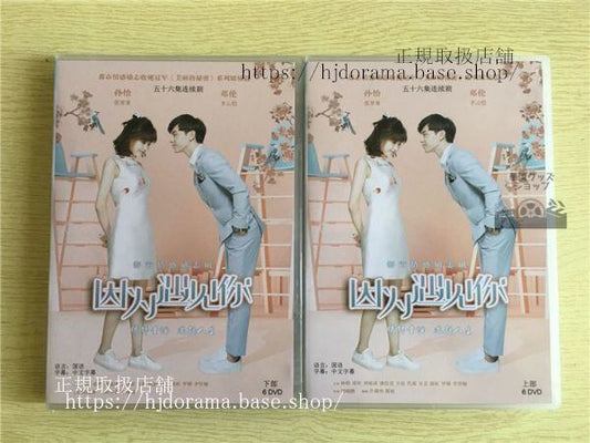 中国ドラマ「因為遇見祢Because of You」李雲愷 張果果 鄧倫 孫怡 ダンルン DVD12枚 日本語字幕なし）