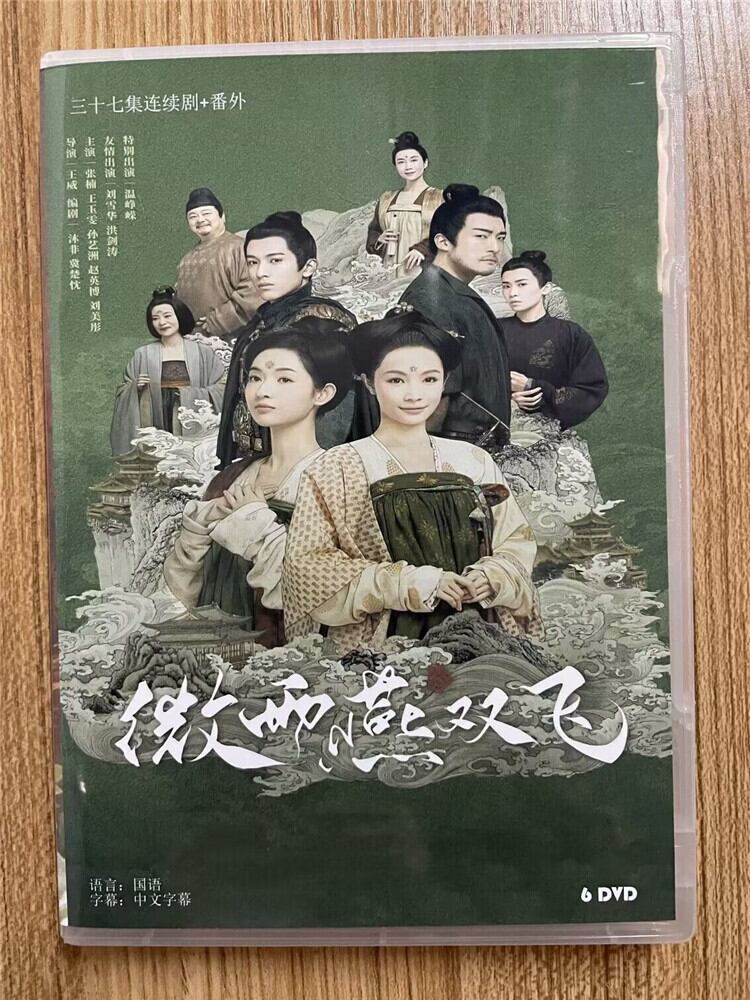 中国ドラマ微雨燕双? Gone with the Rain  2023DVD-BOX 全話 中国盤