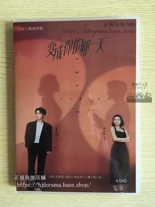 中国ドラマ「変成祢的那一天」dvd-box-張新成-チャンシンチョン-梁潔-リャンジェイ-the-day-of-華流ドラマ