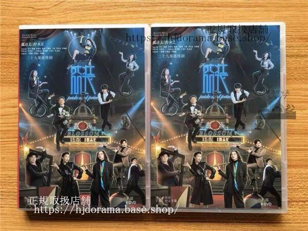 中国ドラマ「盛装」DVD-BOX 宋佳 ソンジア 陳赫 マイケルチェン Pride and Price 全話 中国盤 未使用