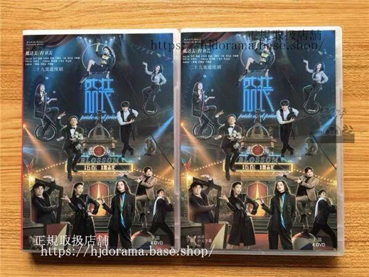 中国ドラマ「盛装」DVD-BOX 宋佳 ソンジア 陳赫 マイケルチェン Pride and Price 全話 中国盤 未使用