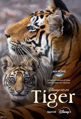 日本語字幕「Tiger (2024)」ブルーレイ1枚組[Blu-ray-BOX]高画質海外盤正規品-華流グッズストア