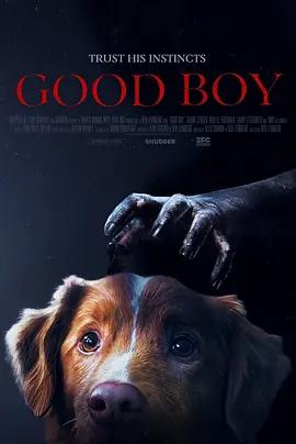 映画「Good Boy (2025)」ブルーレイBOX1 枚組-華流グッズストア