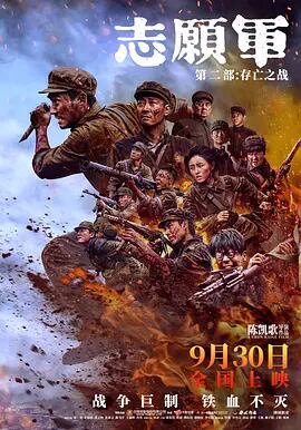 映画「志愿?：存亡之?」ブルーレイ1枚組[Blu-ray-BOX]高画質海外盤正規品-華流グッズストア