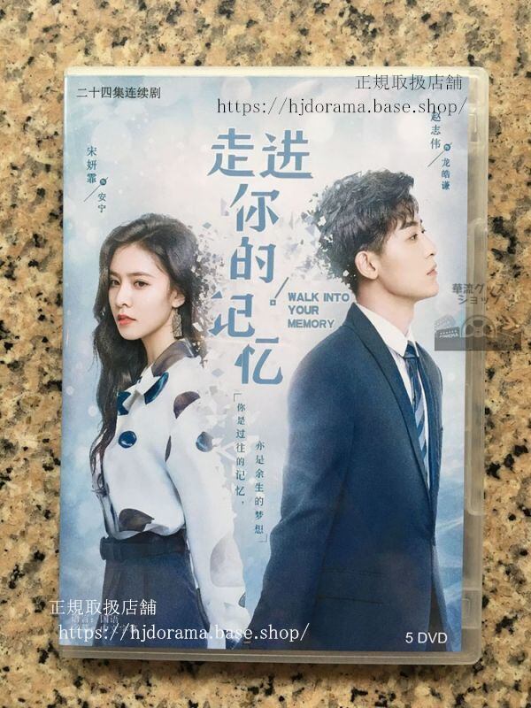 中国ドラマ「走進祢的記憶」DVD-BOX Walk Into Your Memory 趙志偉 宋妍霏 全話 中国盤 華流ドラマ