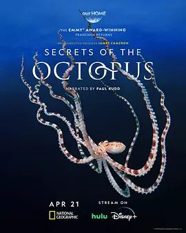 日本語字幕「Secrets of the Octopus (2024)」ブルーレイ1枚組[Blu-ray-BOX]高画質海外盤正規品-華流グッズストア