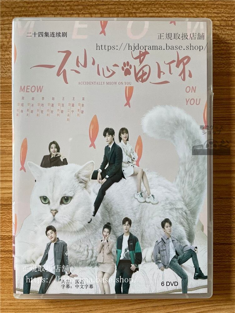 中国ドラマ原題： 一不小心?上?. 英題：Accidentally Meow on YouDVD-BOX全話 中国盤