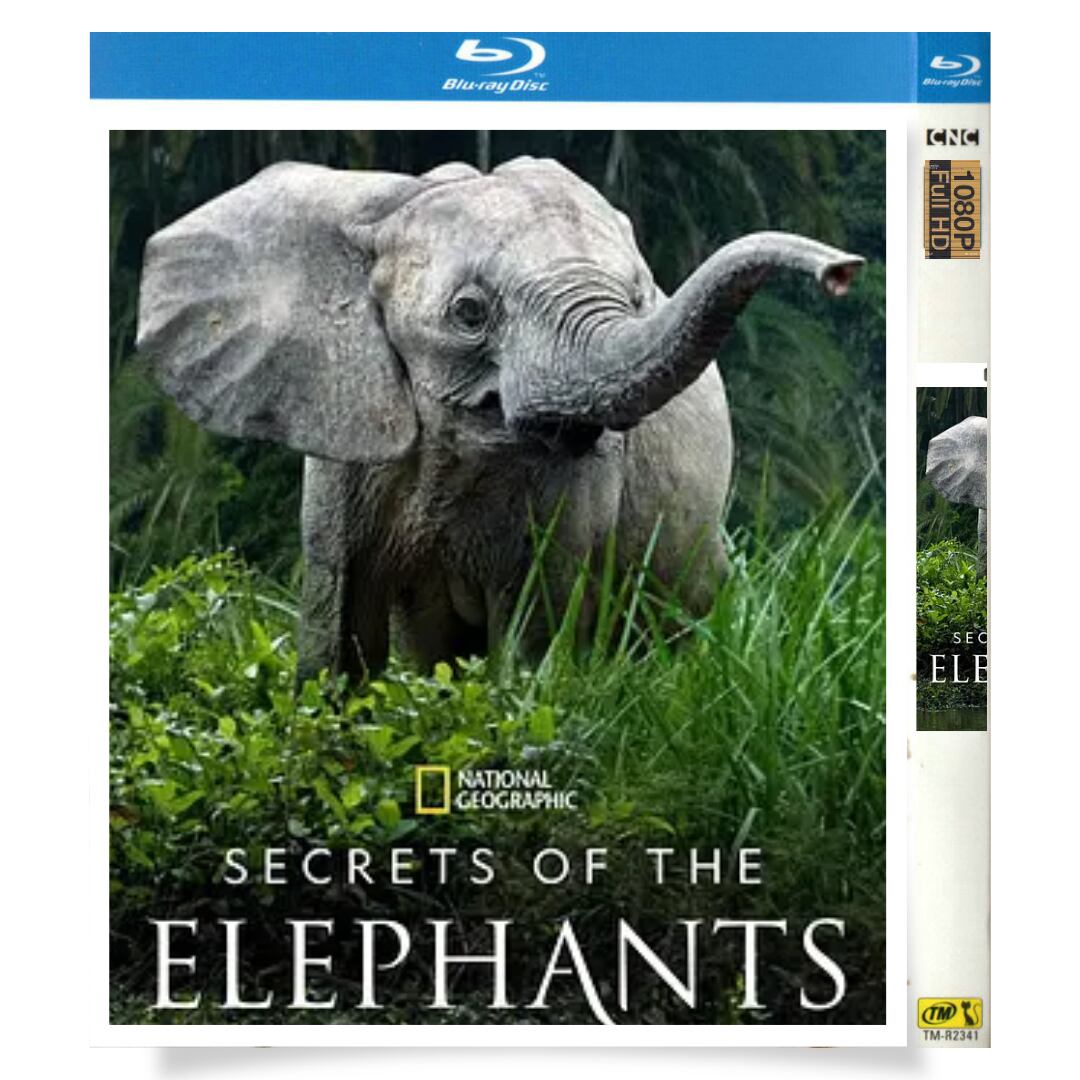日本語字幕「Secrets of the Elephants Season 1 (2023)」ブルーレイ1枚組[Blu-ray-BOX]高画質正規品-華流グッズストア