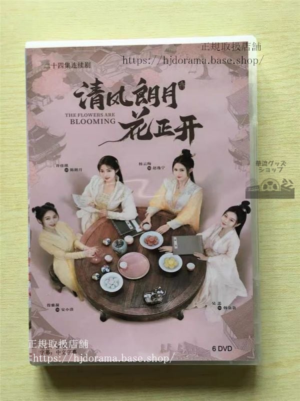 中国ドラマ「清風朗月花正開」DVD-BOX 許佳琪 シュージャーチー 黄聖池 ホァンシェンチー 華流ドラマ