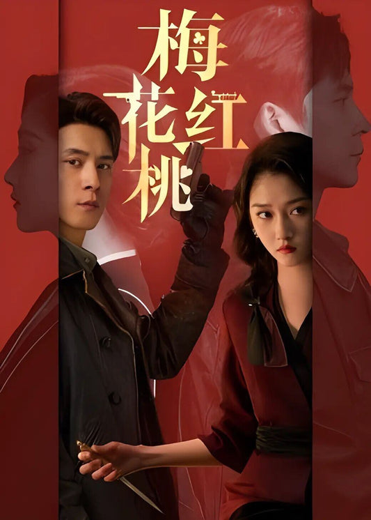 中国ドラマ梅花紅桃 DVD高画質正規品6D9