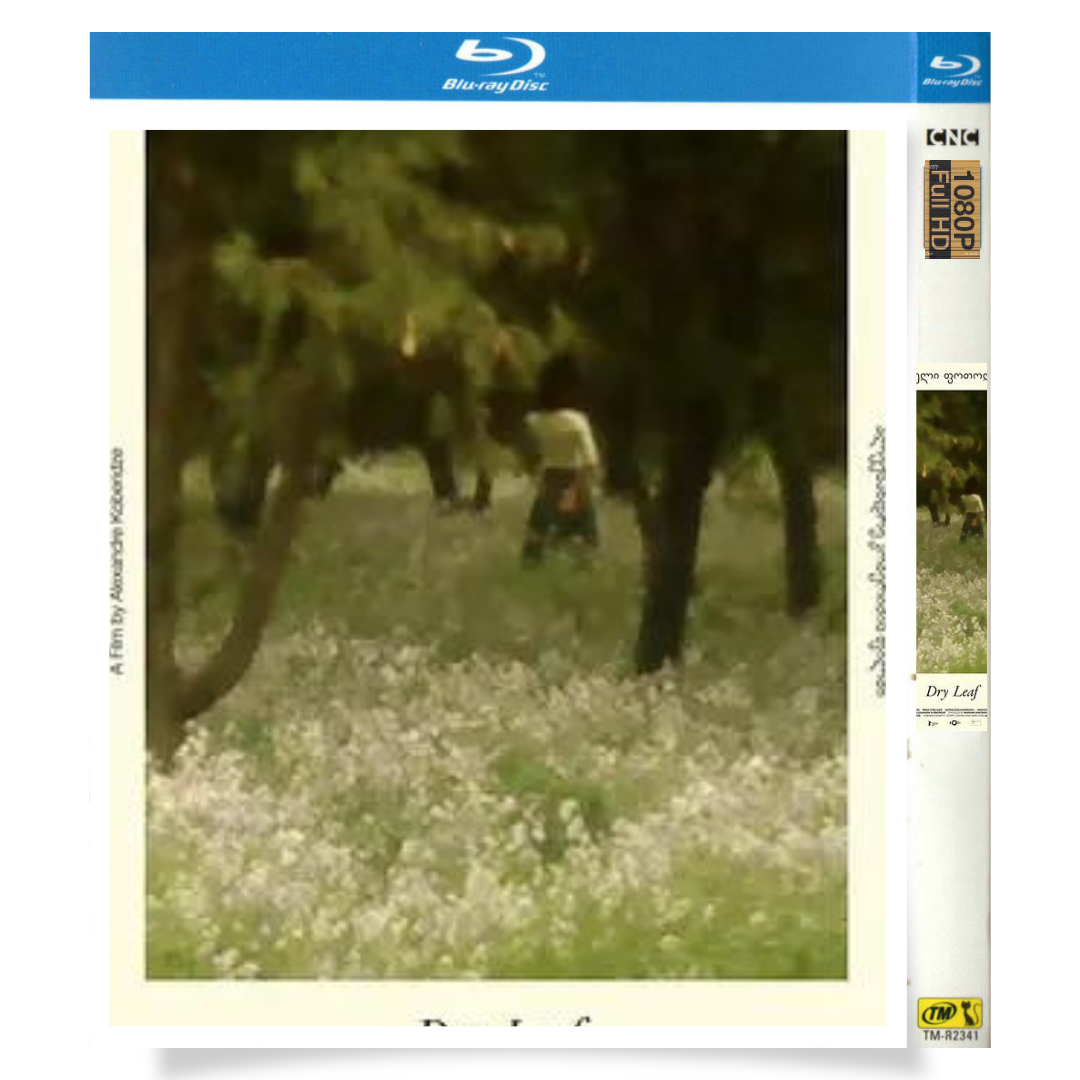 映画「枯れ葉 Dry Leaf」 ブルーレイ[Blu-ray-BOX] 1-DISC ダヴィッド・コベリゼ オタール・ニジャラゼ-華流グッズストア