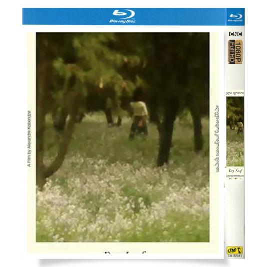 映画「枯れ葉 Dry Leaf」 ブルーレイ[Blu-ray-BOX] 1-DISC ダヴィッド・コベリゼ オタール・ニジャラゼ-華流グッズストア